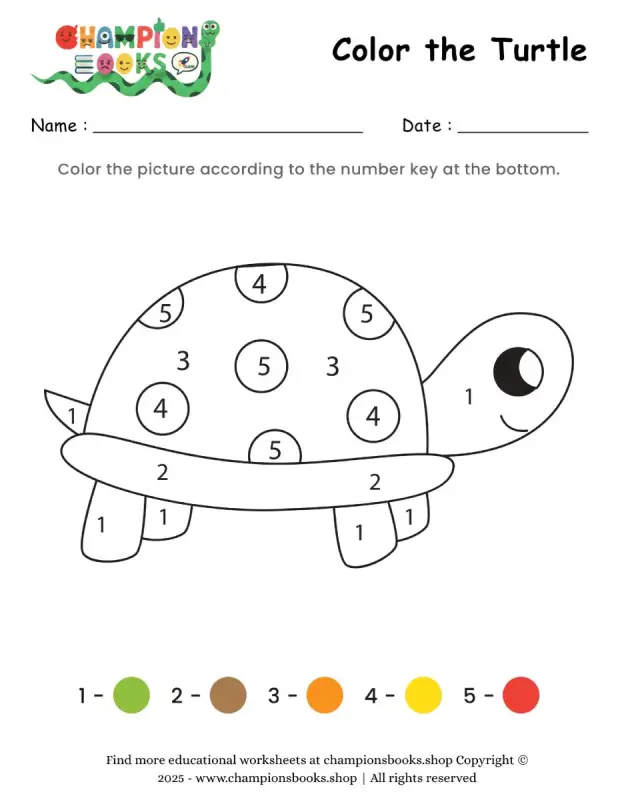 Color the Turtle Worksheet