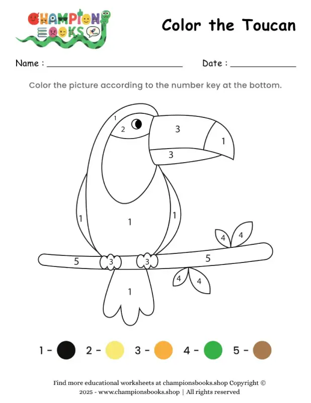 Color the Toucan Worksheet