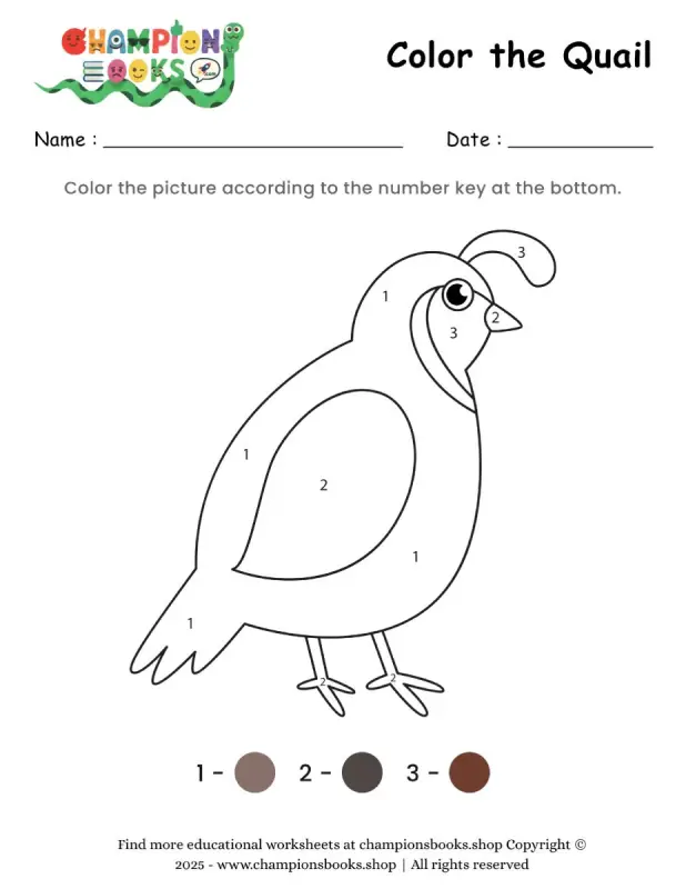 Color the Quail Worksheet