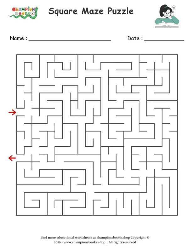 Square Maze Puzzle