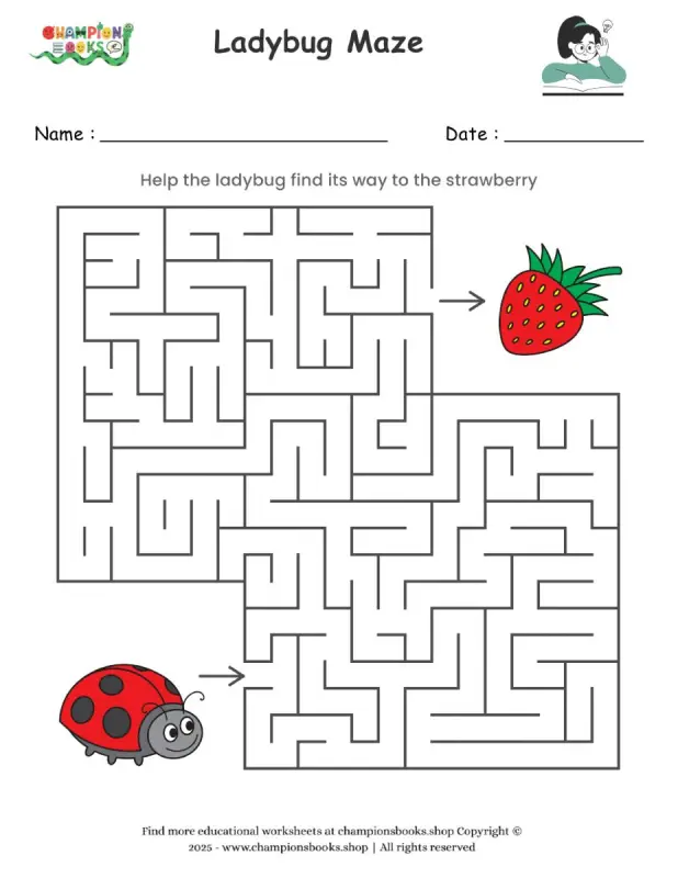 Ladybug Maze worksheet