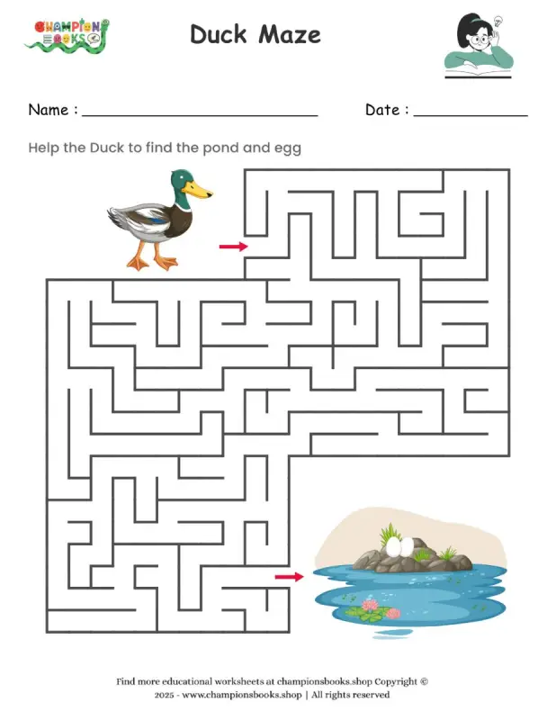Duck Maze worksheet