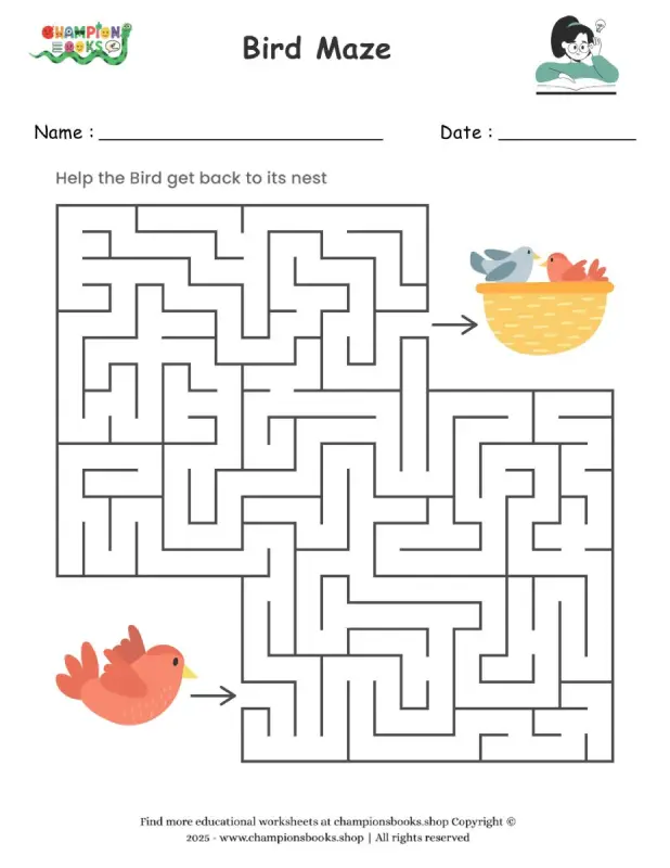 Bird Maze worksheet