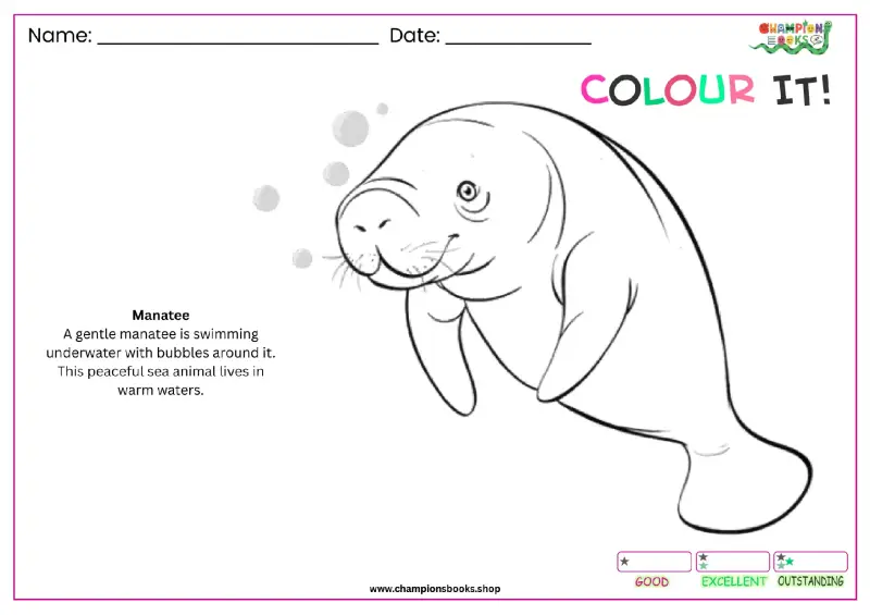 Manatee Coloring Page for Kids - Fun Sea Animal Art