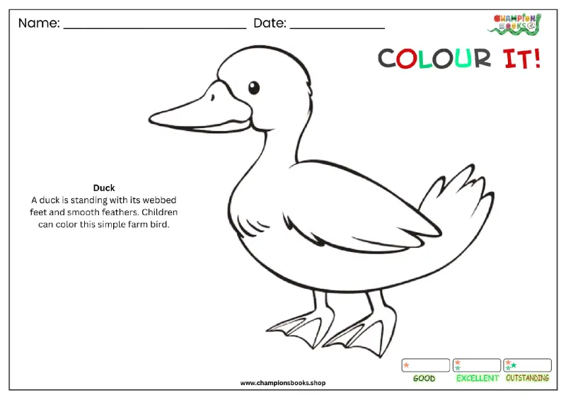 Printable duck coloring page showing a simple outline of a duck standing, ideal for young children to color.
