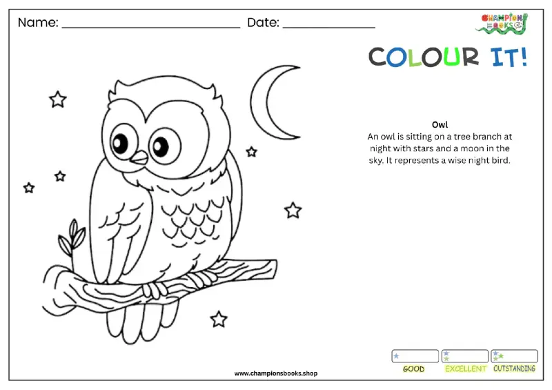 Fun Owl Coloring Page for Kids | Free Printable Worksheet