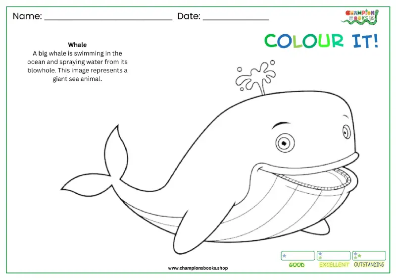 Whale Coloring Page: Fun Printable Ocean Animal for Kids