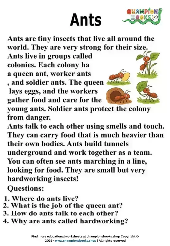 Ants Reading Comprehension Worksheet for Grade 1