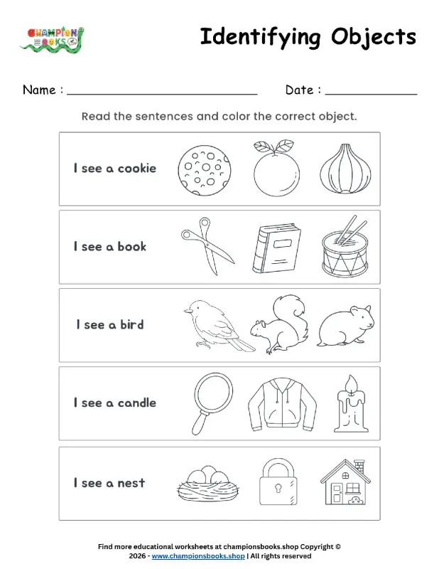 Kindergarten Identifying Objects Worksheet - Fun Learning