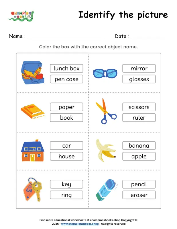 Identify the Picture Worksheet for Kindergarten | Fun Learning