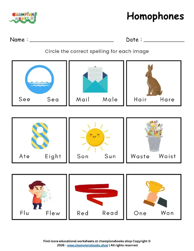 Homophones Worksheet for Grade 1: Learn Confusing Words
