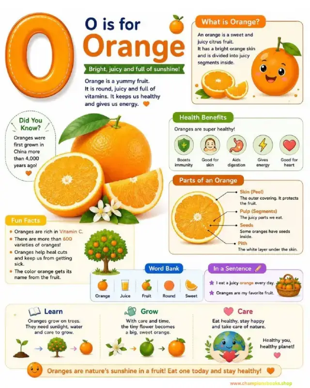 Letter O is for Orange Worksheet for Kindergarten
