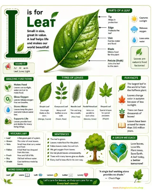 L is for Leaf Worksheet: Learn Phonics & Leaf Science