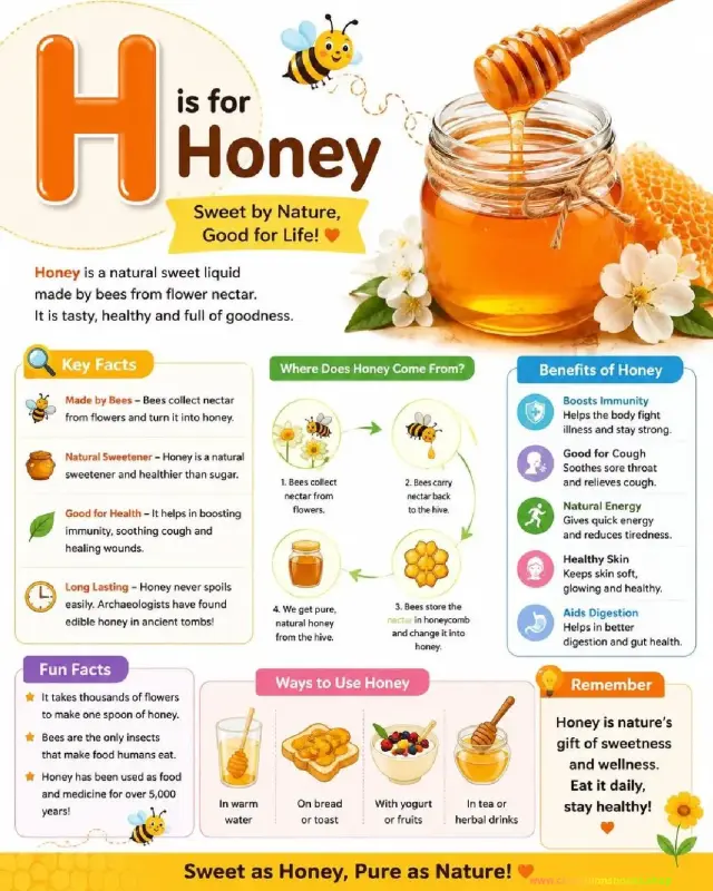 Letter H Honey Worksheet: Fun Facts & Benefits for Kids