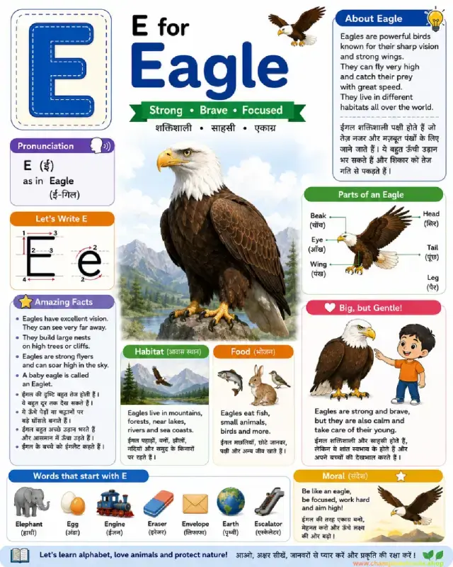 Letter E Alphabet Worksheet: E is for Eagle | Kids Learning