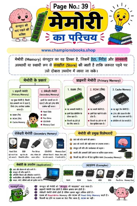 Computer Memory in Hindi Worksheet for Grade 3 Students